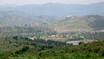 Petrosa